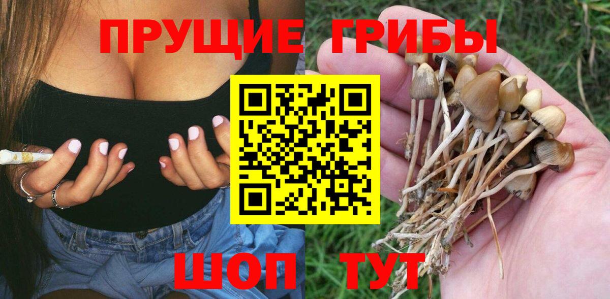 Кемерово  Галлюциногенные грибы прущие грибы  дарнет шоп  Вход с VPN 